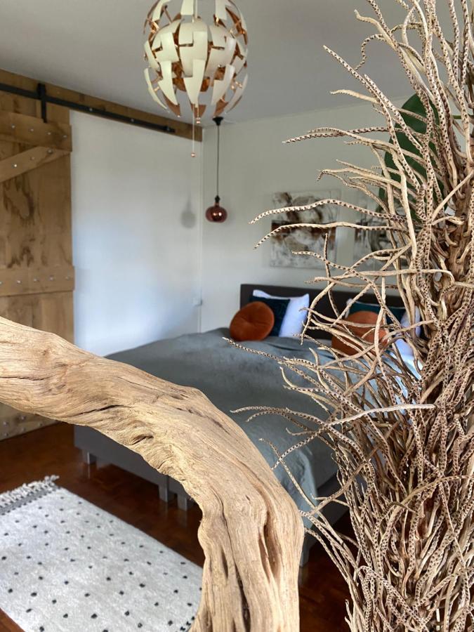 B&B La Hacienda 法尔肯堡 外观 照片
